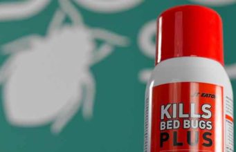 Best Bed Bug Sprays-DIY Homemade, Natural, Brand Reviews Best bed bugs sprays review