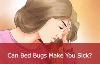 Can Bed Bugs make you Sick? How are they Dangerous? how can bed bugs make you sick