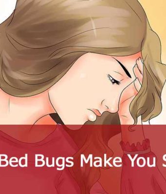 Can Bed Bugs make you Sick? How are they Dangerous? how can bed bugs make you sick