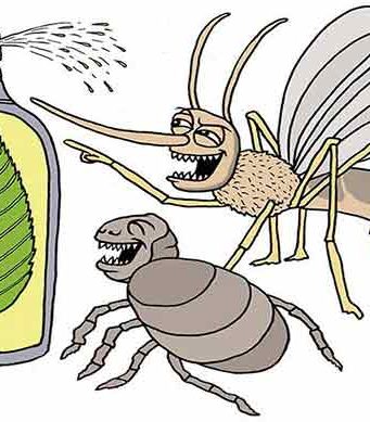 Bed Bug Repellents -Natural Homemade, Creams, Electronic & Reviews bed bug repellents natural homemade reviews