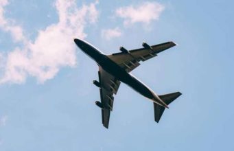 Can Bed Bugs Fly-Do they have Wings-How Far can they Travel can bed bugs fly, travel or jump?