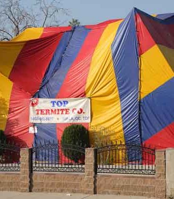 Fumigation for Bed Bugs-Cost & Preparation fumigation for bed bugs