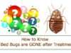 How to know if Bed Bugs are gone after Treatment & what to do how to know if bed bugs are gone and what to do afte treatment
