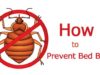 How to Prevent Bed Bugs-Bites while Sleeping at Home, School, Hotel & Travelling How to avoid bed bugs