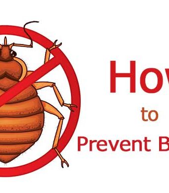 How to Prevent Bed Bugs-Bites while Sleeping at Home, School, Hotel & Travelling How to avoid bed bugs