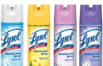 Does Lysol Kill Dust Mites Does Lysol kill dust mites