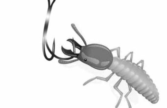 Termite Baits, Stations & DIY Traps Termite bait stations and diy traps