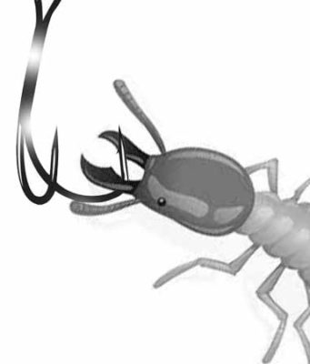 Termite Baits, Stations & DIY Traps Termite bait stations and diy traps