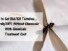 How to Get Rid, Kill Termites + Treatment Cost how to get rid kill termites naturally and with chemicals