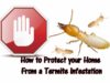 How to Prevent Termites-Tips to Protect your Home Stop, avoid,prevent termites