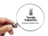 Termite Inspection Cost, Procedure, how long it takes & Training termite inspection-cost, procedure, duration, software