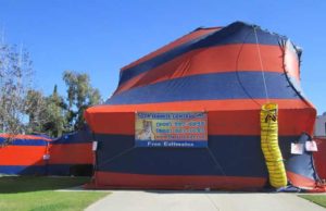 Termite Tenting & Fumigation- Cost, Preparation, Safety & Cleaning After termite tenting Cost Preparation & risks